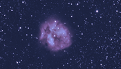Cocoon Nebula